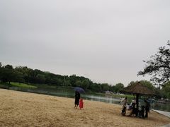 -上海佘山世茂艾美酒店