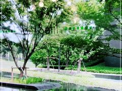 -青麦家·融合餐厅(江岛智立方店)
