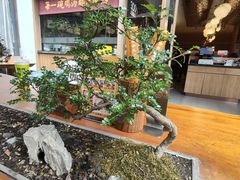 -王春春鸡汤饭(成都城西优品道店)