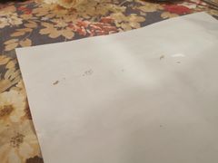 -露西亚咖啡西餐厅(哈尔滨俄侨纪念馆店)