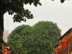 -三坊七巷历史文化街区