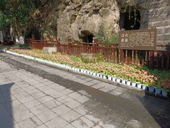 -忠山公园