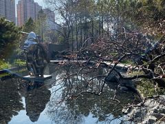 -静安雕塑公园