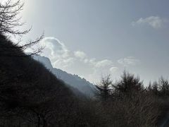 -秦岭风景区