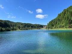 -武陵山森林公园