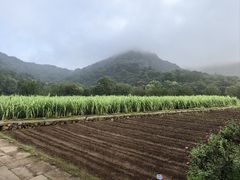 -八卦田遗址公园