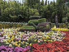 -富乐山