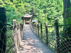 -凤栖山