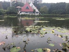 -洛阳市牡丹公园