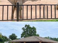 -杭州野生动物世界