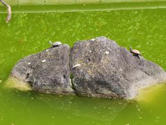 -南京市江宁方山