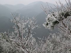 -四明山国家森林公园