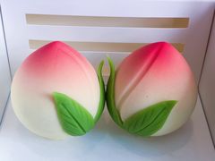 -BLACKSWAN黑天鹅(环球店)