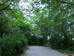 -峙山公园