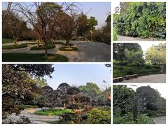 -南山植物园