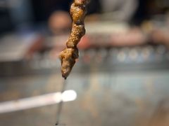 -很久以前羊肉串(昌里路三钢里店)