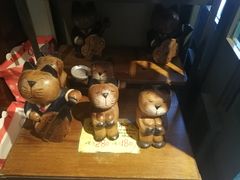 -猫咪博物馆(顶澳仔猫街店)