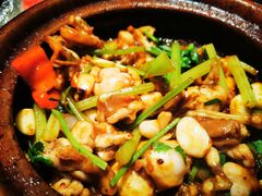 啫啫牛蛙-煲煲好(朝阳门店)