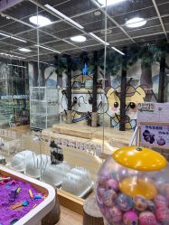 -小象动悟公园(龙湖亦庄天街店)