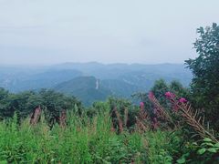 -白草畔自然风景区