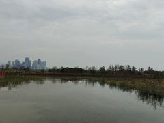 -芒洲湿地公园