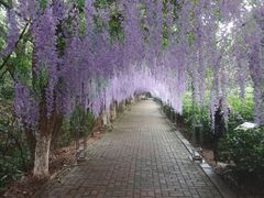 -宝岩生态观光园