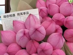 -上海人家花樣年华(虹口龙之梦店)