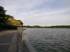-海珠湖公园