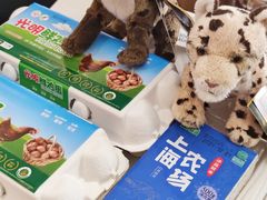 -江边城外烤全鱼(世茂广场店)