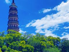 -顺峰山公园