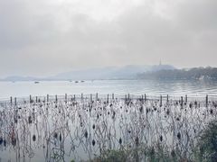 -湖畔居茶楼(湖滨店)