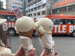 -Mint Gelato(二厂店)