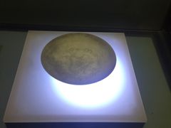 素胎龙纹盘-荆州博物馆