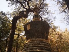 -潭柘寺景区