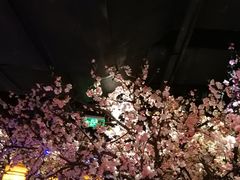-绿茶餐厅(松江万达店)