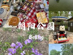 -朝阳公园