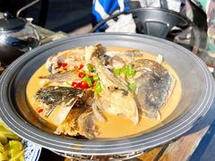 水库鱼头-山水人家