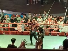 -俄罗斯国家大马戏团