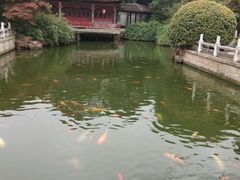 -荆川公园