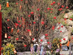 -广州市白云山风景名胜区
