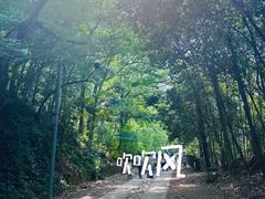 -上海佘山国家森林公园西佘山园