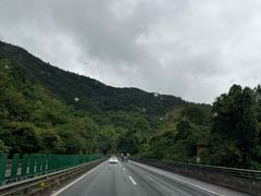 -野象谷景区