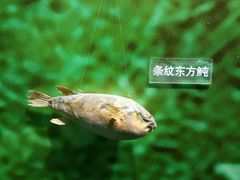 -苏州河梦清园环保主题公园