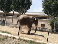 -石家庄市动物园