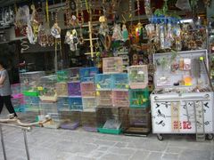-园圃街雀鸟花园