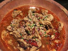 -沧州成老灶火锅鸡(鹿泉总店)