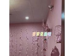-52HZ主题桌游馆(解放西路店)