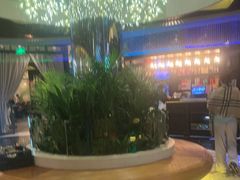 -润园四季椰子鸡火锅(海上世界店)