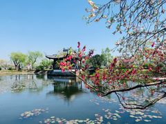 -无锡蠡湖国家湿地公园-蠡园