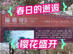 -大围山国家森林公园